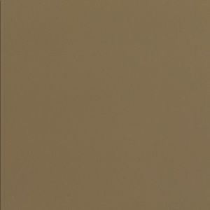 Meet your Posher, Carson